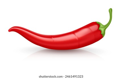 Red Hot chili pepper pod. Realistic Spicy vegetable, mexican cooking ingredient for salsa. Isolated on white background. Vector illustration.