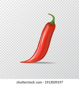 Red hot chili pepper realistic vector illustration. red hot chili pepper lay on transparent background  with shadow for labels and logo design