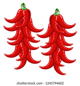 Red hot chili pepper ristra painting bright design element vector illustration