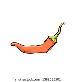 Red hot chili pepper, traditional spicy seasoning, ingredient of Mexican cuisine, food and tequila. Hand drawn vector illustration isolated on white background in sketch style.