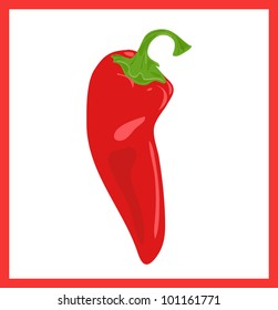 Red hot chili pepper, vector illustration