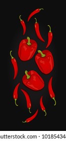 Red hot chili pepper. Vector illustration on white and black.