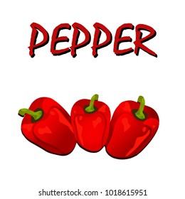 Red hot chili pepper. Vector illustration on white.