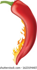 red hot chili pepper - vector illustration