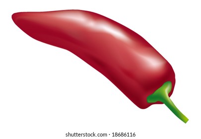 Red hot chili pepper (vector).