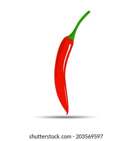 Red hot chili pepper vector