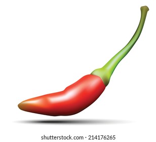 Red hot chili pepper ,Vector eps10 illustration.