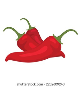 Red hot chili pepper. Vector illustration of red chili pepper. Isolated image of chili pepper.