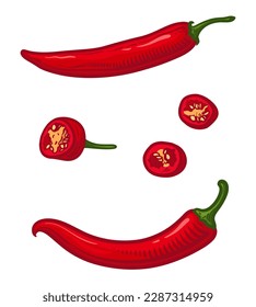 Red hot chili pepper. Vector illustration of pepper isolated on white background.