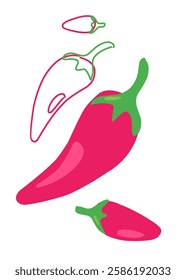 red hot chili pepper vector illustration