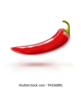 red hot chili pepper vector on white