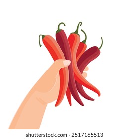 Red hot chili peppers isolated on a transparent background. several peppers in a woman's hand. Harvesting. vector flat illustration