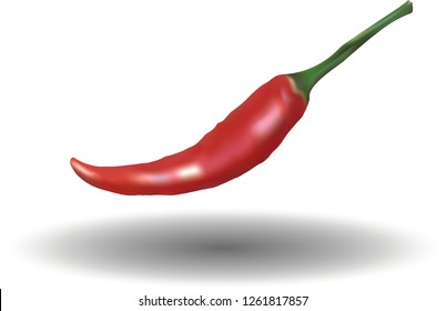 Red hot chili peppers on white background. Vector illustration - Vector 