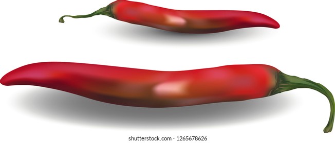 Red hot chili peppers on white background. Vector illustration - Vector - Vector 