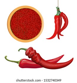 Red hot chili peppers set with hanging bunch and plate of sauce. Vector illustration isolated on white background