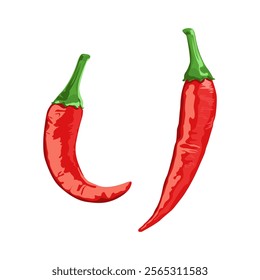 Red hot chili peppers Vector illustration Isolated on White Background.