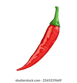 Red hot chili peppers Vector illustration Isolated on White Background.