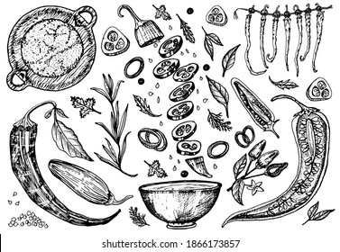 Rote scharfe Chilischoten im Vintage-Stil. Salatzutaten. Gemüseanbau. Vektorgrafik. Handgezeichnete Retro-Skizze. Doodle-Stil