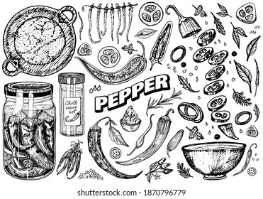 Red hot chili peppers in vintage style. Salad ingredients. Farm vegetable. Vector illustration. Hand drawn engraved retro sketch. Doodle style