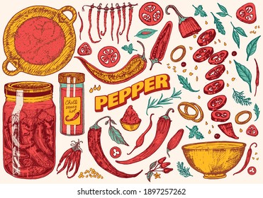 Pimientos de chile rojo caliente de estilo vintage. Ingredientes de ensalada. Hortalizas de granja. Ilustración vectorial. Dibujo retro grabado a mano. Estilo Doodle