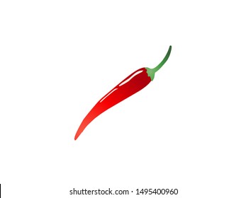 red hot chili  vector isolated on white