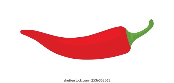 Red hot chilli pepper.  Red chilli cayenne pepper vector illustration.