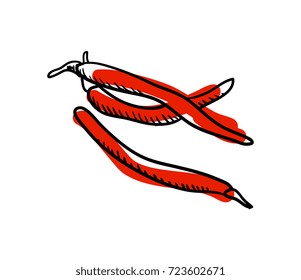 Red hot chilli pepper hand drawn icon isolated on white background vector illustration. Mexican ethnic culture element, traditional symbol.