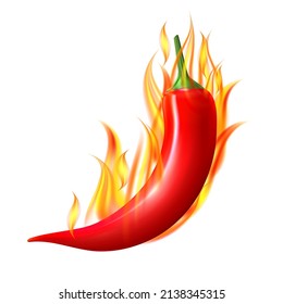 Red hot flaming chili pepper pod. Design for culinary products, spice package, recipe or cooking book. Realistic vector illustration isolated on white background.