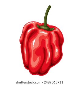 Red hot Habanero pepper, cartoon spice and vegetable. Small whole chili pepper on stem with spicy hot natural flavor for cooking, cartoon natural vegetarian food ingredient vector illustration