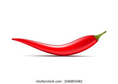 Red hot natural chili pepper pod realistic image with shadow vector illustration. Design for grocery, culinary products, seasoning and spice package, recipe web site decoration, cooking book.