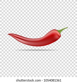 Red hot natural chili pepper pod realistic image with shadow vector illustration. Design for grocery, culinary products, seasoning and spice package, recipe web site decoration, cooking book.