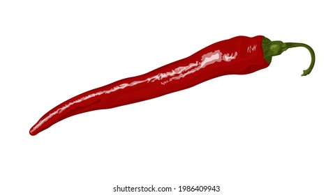 Red hot natural chili pepper pod realistic isolated image with shadow vector image. Design for food, culinary products, condiments and spice package, recipe site decoration, cookbook.