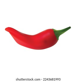 Red hot natural chili pepper pod realistic vector illustration. Design for grocery, culinary products, seasoning and spice package.