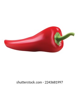 Red hot natural chili pepper pod realistic vector illustration. Design for grocery, culinary products, seasoning and spice package.