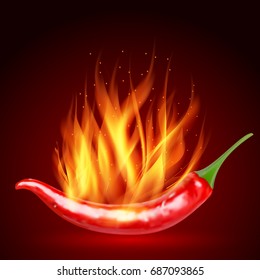 Red hot natural chili pepper pod realistic image with shadow for culinary products and recipes vector illustration. Realistic Red hot natural chili pepper. flaming red chili pepper on a red background