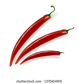 Red hot natural pepper pod, image in the free style of the author, for culinary products and recipes, vector illustration