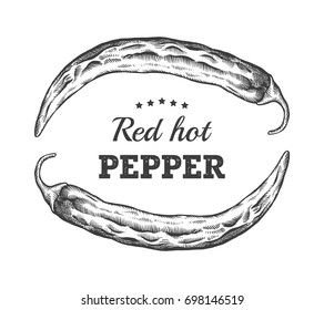 Red Hot Pepper engraving illustration. Ink line vector. Line art