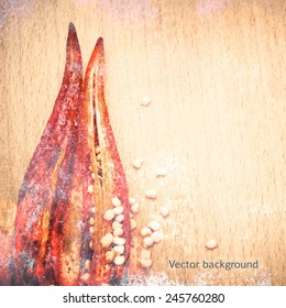 red hot pepper, grunge vector background