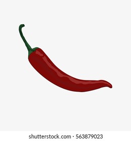 Red Hot Pepper. Isolated on white background. Flat vector stock illustration