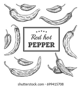 Red Hot Pepper pack engraving illustration. Ink draw engraving illustration