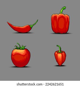 
Red hot sauce ingredients vector illustration