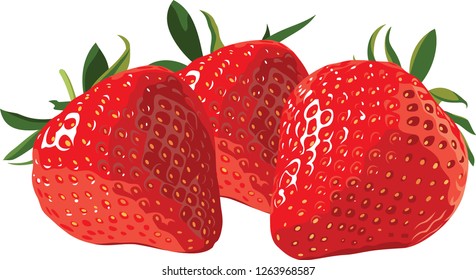 Red hot strawberrys from the forrest