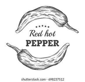 Red hot third illustration of pepper engraving. Ink line vector