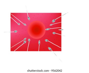 red human egg and sperms