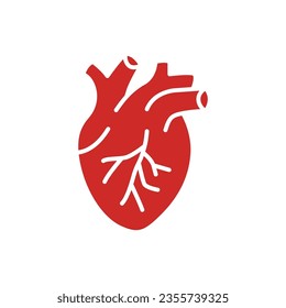 Red human heart icon. Simple solid, flat style. Internal organ, real, cardiology, cardiac anatomy, medical concept. Silhouette, glyph symbol. Vector illustration isolated on white background. EPS 10.
