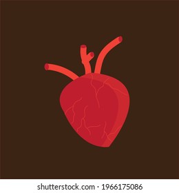 red human heart vector design