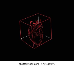 Red human hearts in outline style with aorta, veins and arteries isolated on white background. For cardiology or medical design