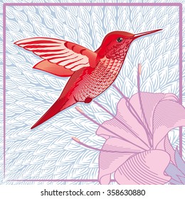 Red hummingbird colibri card, vector illustration