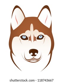 Red husky head - vector illustration