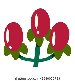 Ilustración vectorial de la planta de las bayas de Hypericum rojo